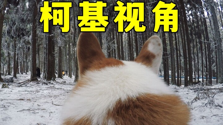 Hurry up! Let's "ride a corgi" to see the snow!
