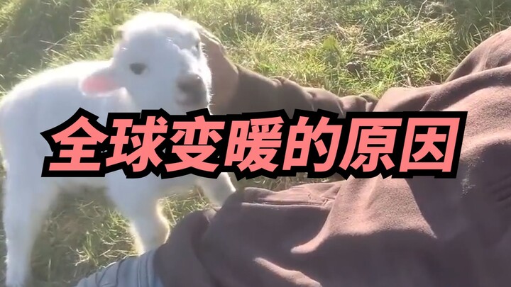 【喜哥】找到全球变暖的原因了