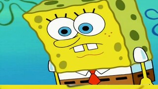Spongebob พยายามอย่างเต็มที่เพื่อทำให้แพทริคหัวเราะ แต่แพทริคมองเขาด้วยความรังเกียจ