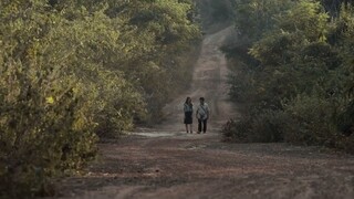 บ่มีวันจาก The Long Walk (2019)