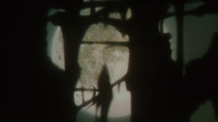 Vampire Hunter D Bloodlust