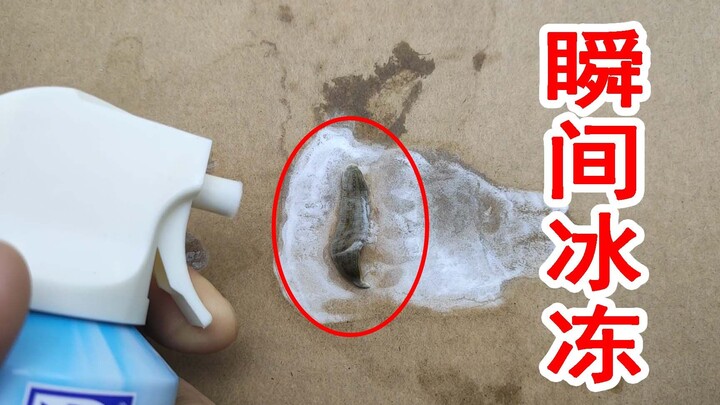 Was it really frozen instantly? Spray the leech with a quick cooling agent!