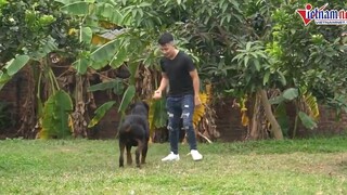 9x khởi nghiệp bằng nuôi chó cảnh, thu nhập hàng tỉ đồng mỗi năm