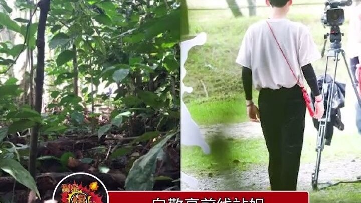 Trước đó, fan nữ theo sát Bạch Kính Đình bị tố là paparazzi, chụp cận mặt chờ sẵn; sau đó cô này tun
