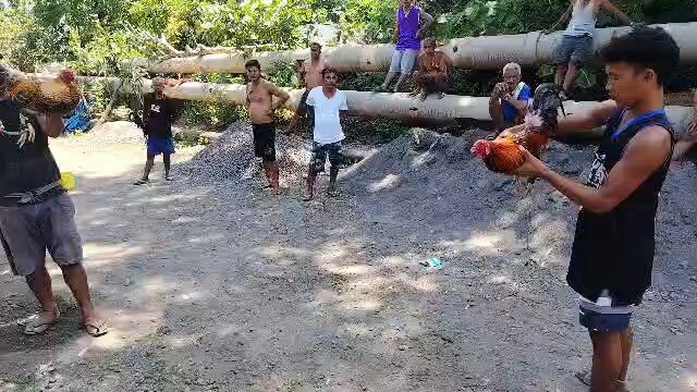 second fight lose