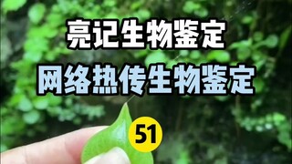 【การระบุทางชีวภาพของ Liangji】การระบุทางชีวภาพแบบฮอตอินเทอร์เน็ต 51