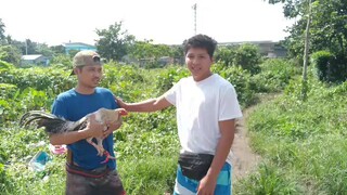 win balda pakpak isang Tama lang