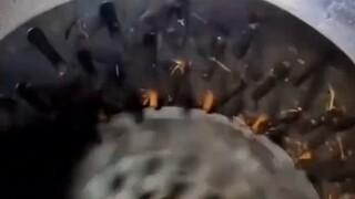 Four major animals