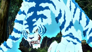 A passionate anime that almost became a god? A fantasy beast like a sea god, a water tiger that domi