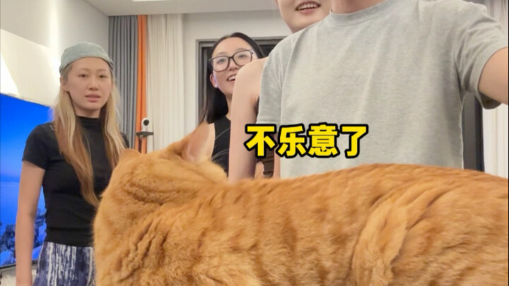 เพื่อนๆ ท้าทายให้แตะแมวที่ชอบตีคนสามครั้งโดยไม่โดนตี ปรากฏว่าพวกเขากลับค้นพบเคล็ดลับผ่านด่านได้สำเร็