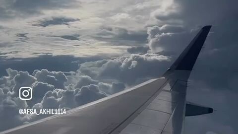 viral flight