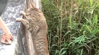 Young man, great kung fu!!