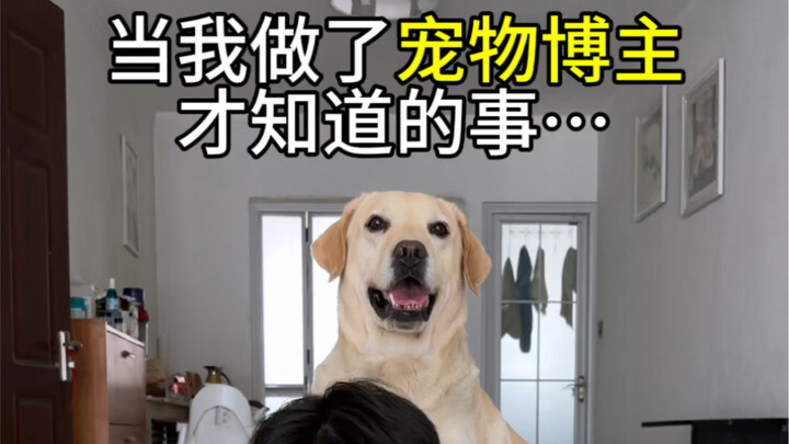 After four years as a pet vlogger, I’ve really seen it all—there’s just every kind of person out the