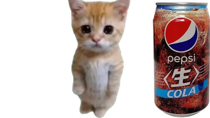 Cat drinks raw cola