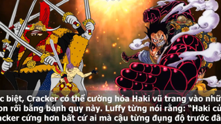 Trái ác quỷ hệ Paramecia mạnh hơn Logia One Piece p1