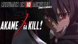 🔷 Akame Ga Kill | Resumen en 10 Minutos (más o menos)