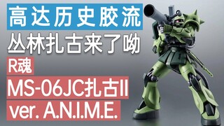 【历史胶流】丛林扎古来了呦：Robot魂 MS-06JC扎古II ver. A.N.I.M.E.