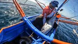 Unexpected Catch Big Tuna thank you for following🫰 Ep-2