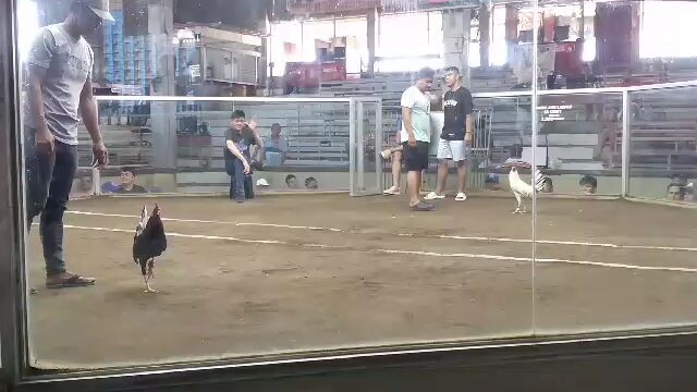 Muntinlupa Cockpit: Colonel givens White. Loose