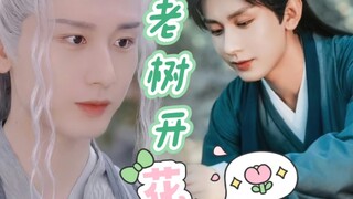【生贺篇】【夜花】断情结番外之老树开花（上）