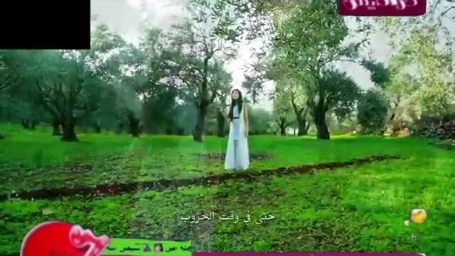 محمد سجى حماد بدون موسيقى قناة كراميش بلس 2015