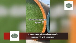 Cà phê 'CHÒI' đã lên một 'TẦM CAO MỚI' nhìn từ xa cứ ngỡ 'HOMESTAY' #doisongmoingay