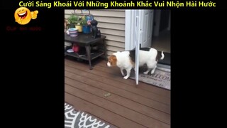 Cười Sảng Khoái Với Những Khoảnh Khắc Vui Nhộn Hài Hước Và Lầy Lội Nhất p9