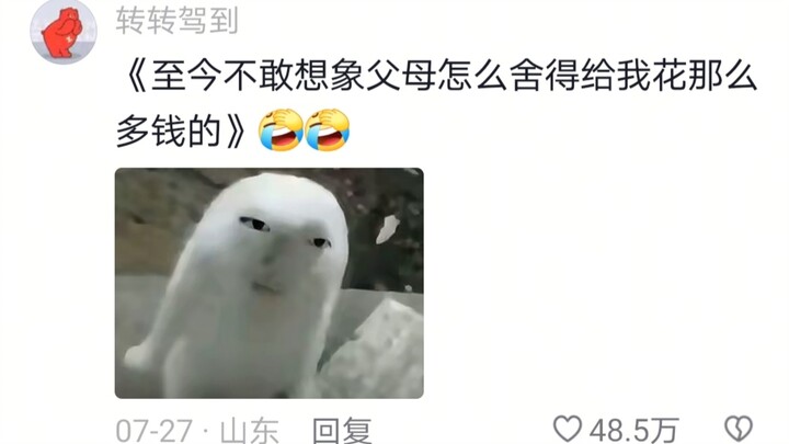 上班后才知道父母有多厉害？