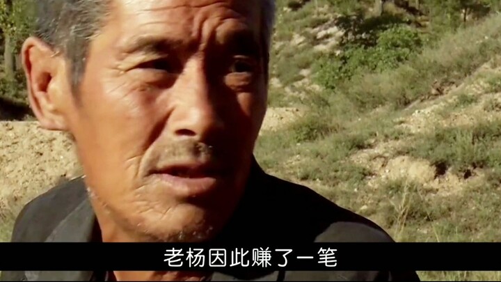 ภาพยนตร์ชนบทที่ไม่ปิดบังเลย ถ่ายทอดชีวิตหนุ่มโสดได้อย่างสมจริง