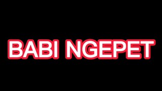 BABI NGEPET