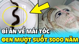 💥Bí ẩn MÁI TÓC người phụ nữ vẫn ĐEN MƯỢT dù đã qua đời 3000 năm | TIN GIẢI TRÍ