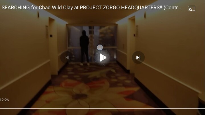 project zor