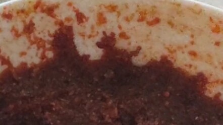 Đội Chó Siêu Đẳng Có Mặt Ở Mọi Nơi