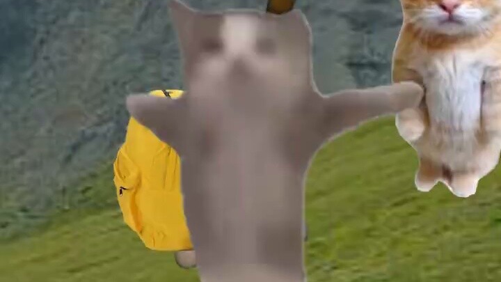 Banana Cat was attacked by a rolling stone!!
