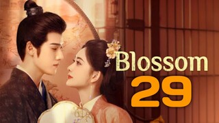 Blossom(2024) Episode 29 English Subtitle