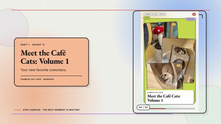 Siamese Cat Café #06 — Meet the Café Cats: Volume 1 + Meet the Café Cats: Volume 2