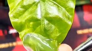 أمي ستأخذك لقص الأظافر، أي نوع ستحب؟