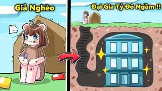 Mèo Simmy Cô Bé Nghèo Khổ Nhưng Thực Ra Là ĐẠI GIA TỶ ĐÔ NGẦM Trong Minecraft !!