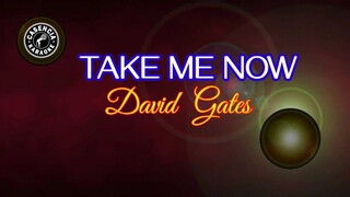 Take Me Now (Karaoke) - David Gates