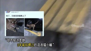 GunGun: If the ex cries, the current one will lose