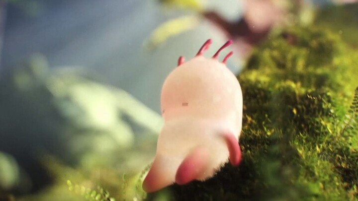 The little forest guardian is working hard again today~