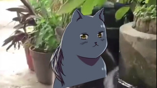 【APH|耀猫】建 议 改 成 ？