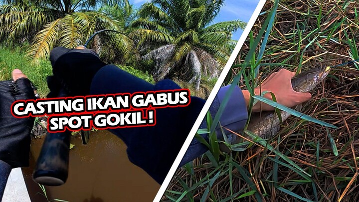 Spot Casting Gabus Tergokil