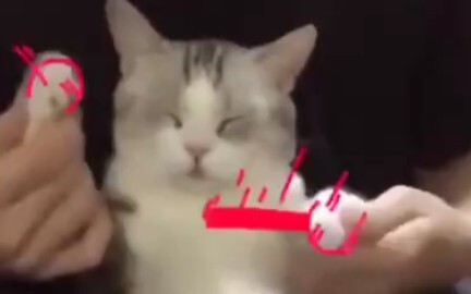 الشيطان～الرقيق