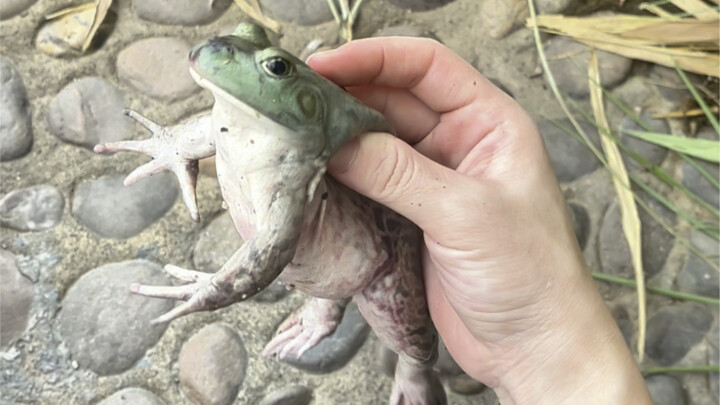 ฉันนั่งเล่นตรงนี้ทุกวันก็ยังไม่เห็นเลย ว่ามันอยู่ตรงไหนกันแน่