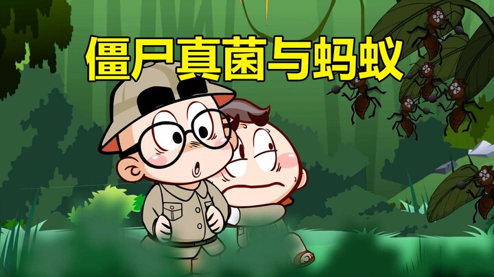 【唐唐】涨知识！僵尸真菌与蚂蚁
