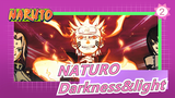NATURO|[Complication]In karma of darkness&light, a fire-like consciousness burns._2