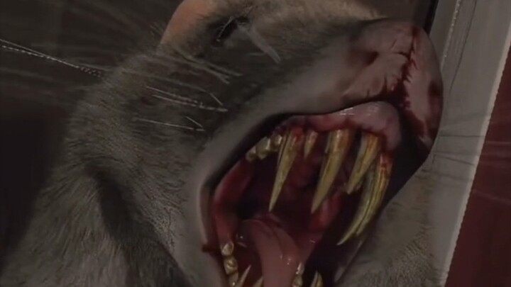 Such a cute big duck neck!