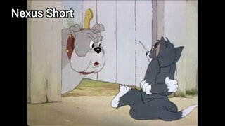 Tom & Jerry (Ep 15.3) The Bodyguard (phần 3) #TomandJerry