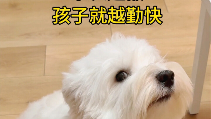 Chuyện này đâu có nhẹ nhàng bằng nuôi con đâu!